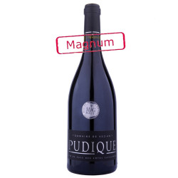 Pudique