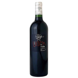 Cuvée ULTIMA de NODOZ