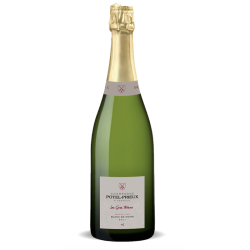 Blanc de Noirs " Les Gros...