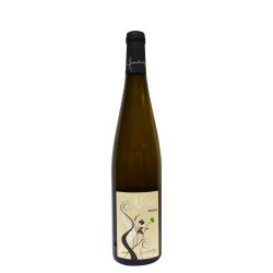 Riesling Nature