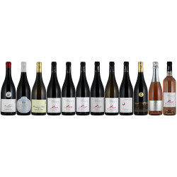 CARTON DECOUVERTE DU DOMAINE