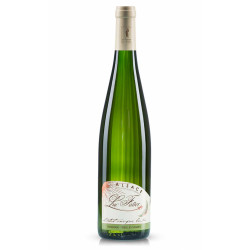 Sylvaner - Vieilles Vignes