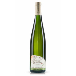 Riesling lieu-dit Fronholz