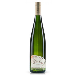 Muscat vieilles vignes 2013