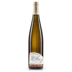 Gewurztraminer - Vendanges...