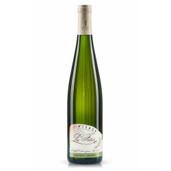 Pinot blanc 2013