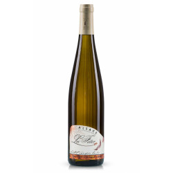 Pinot Gris - Vendanges...