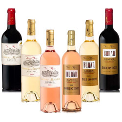 Découverte des Vins de Bandol