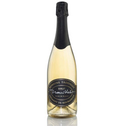 CREMANT DE BOURGOGNE