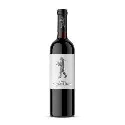 SANS SOUFRE 100% Malbec