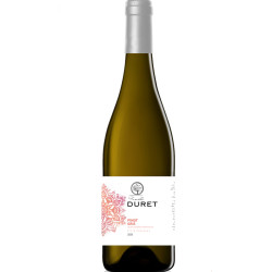 Pinot Gris