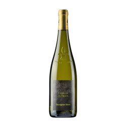 Sauvignon
