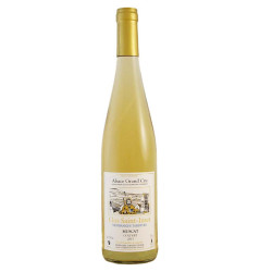 Muscat Clos Saint-Imer...