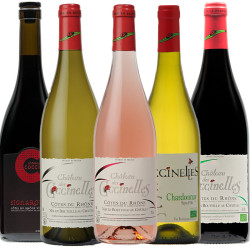 Coffret découverte Coccinelles