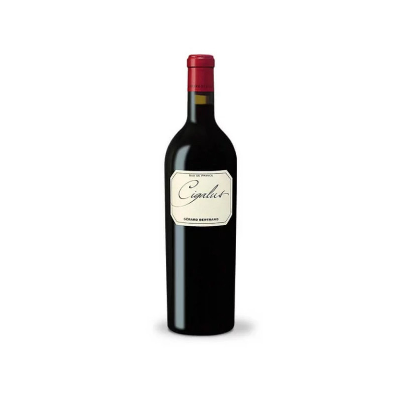 Cigalus red