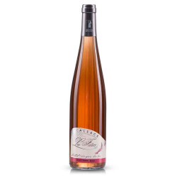 Pinot noir Rosé