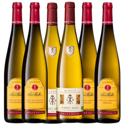 Coffret Découverte Louis Hauller