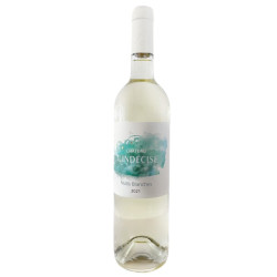 NUITS BLANCHES
