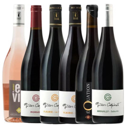 Coffret Découverte Domaine Coperet