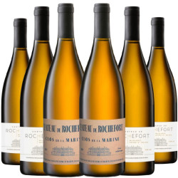 Coffret Muscadet Château Rochefort