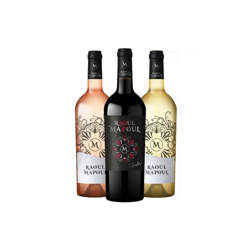 Coffret Raoul Mapoul Saint Chinian