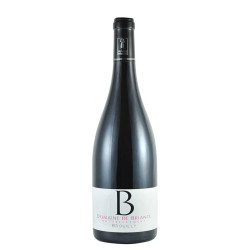 Domaine de Briante - Brouilly