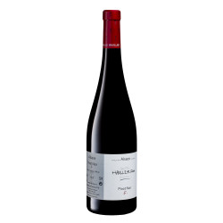 Pinot Noir Signature