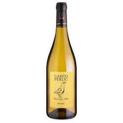 Premières côtes