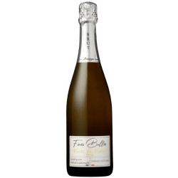 Fines Bulles - Blanc de Blancs