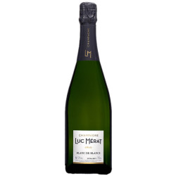 Blanc de blancs Extrat Brut