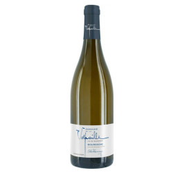 Bourgogne Chardonnay