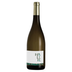 HALITE vin blanc