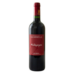 Millepeyres