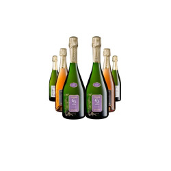Brut party 6 bouteilles