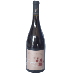 Organically-grown Pinot Noir