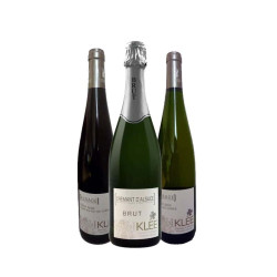 Découverte de fête en 3 bouteilles