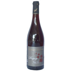 Gamay “Petit Luc“