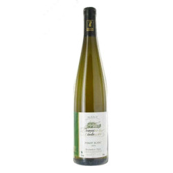 Pinot Blanc