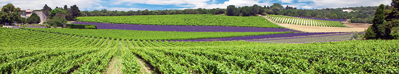 Achat vin AOC Les Baux de Provence - Avenue des vins