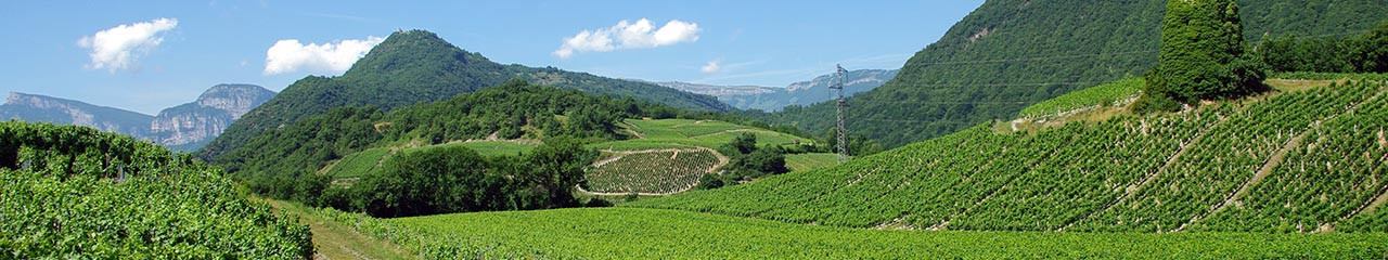 Buy wine AOC Roussette de Savoie - Avenue des vins