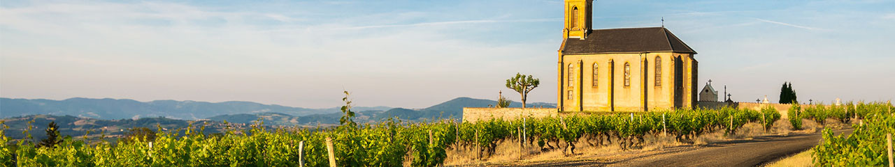 Achat vin AOC Beaujolais-Leynes - Avenue des vins