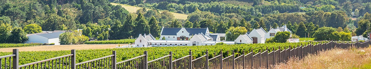 Achat vin AOC Jurançon Sec - Avenue des vins