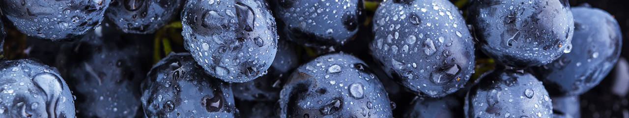 Buy wine Light and fruity red wines - Avenue des vins