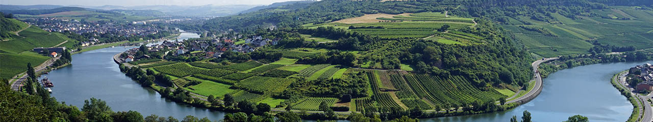 Achat vin Vins Moselle - Avenue des vins