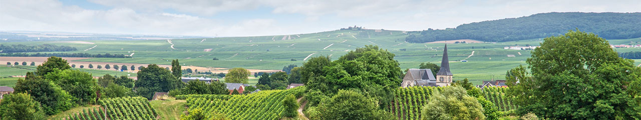 Achat vin Vins Champagne - Avenue des vins