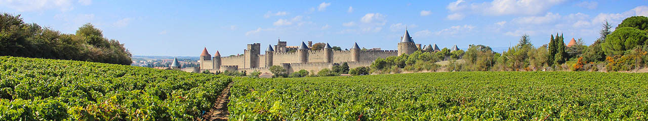 Achat vin AOP Duché d'Uzès - Avenue des vins