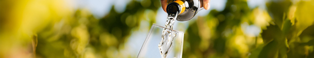 Vin à l'unité : Bordeaux, Loire, Champagne, direct vigneron