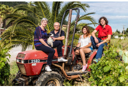 THOMAS MERLE, DOMAINE BOUISSE-MATTERI : JEUNE VIGNERON À LA CONQUÊTE DES CÉPAGES OUBLIÉS