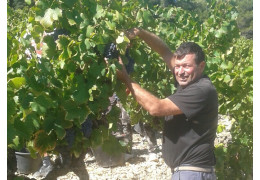 PIERRE MEYER, DOMAINE DES NYMPHES : UN VIGNERON AU VILLAGE DE RASTEAU