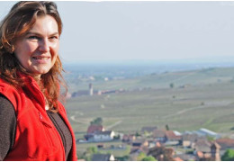 LE DOMAINE GUETH, SUR LE CHEMIN DU VIN